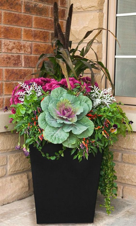 flower planter and container idea