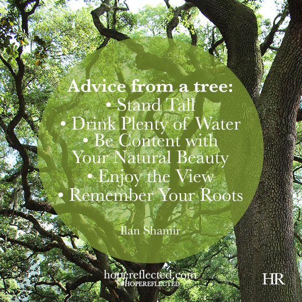 Wednesday Wisdom: Advice from a Tree - Hope Reflected