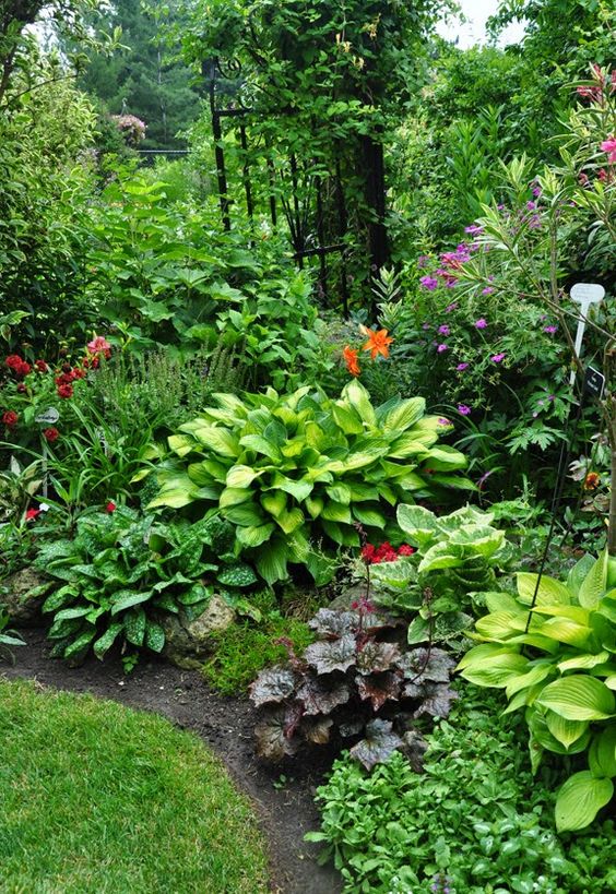 5 Shade Gardens to inspire your yard - Hope Reflected