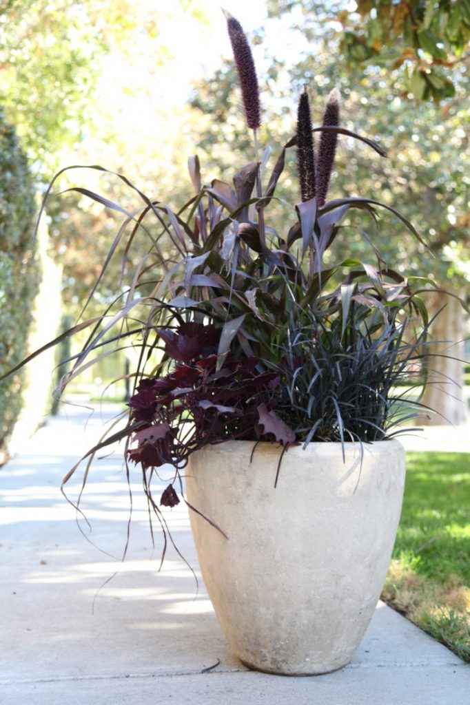 fall container gardening