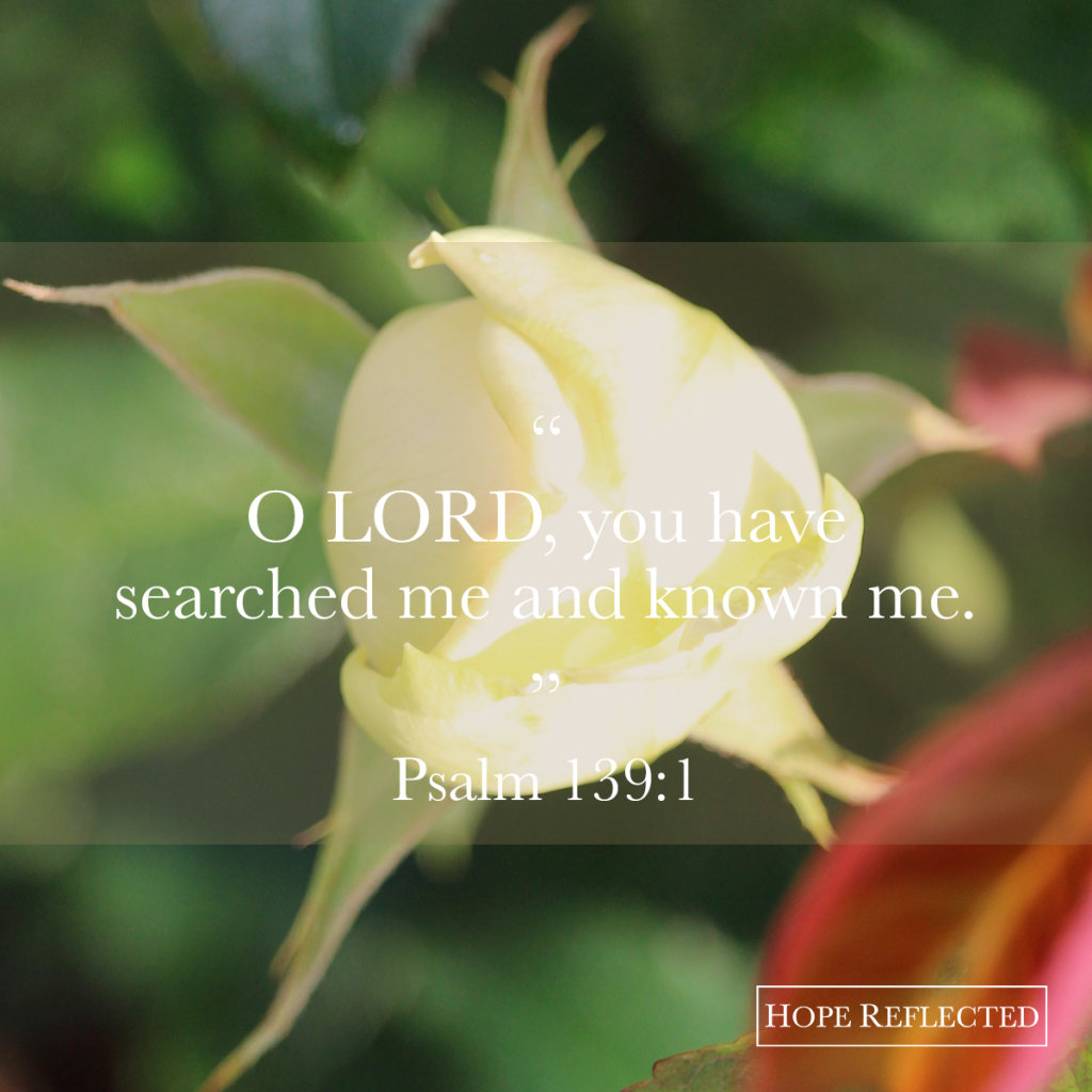 . “O LORD, You have searched me and known me… For there is not a word on my tongue, but behold, O LORD, You know it altogether.” (Psalm 139:1, 4) | Hope Reflected