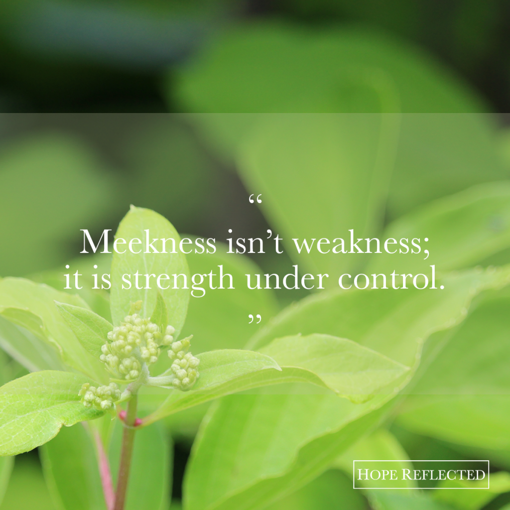 Meekness isn't weakness; it's strength under control. | Hope Reflected Read more at hopereflected.com