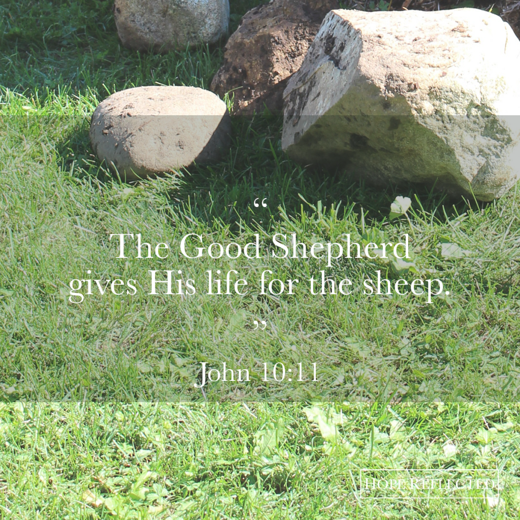 Jesus Christ is the Good Shepherd | Hope Reflected