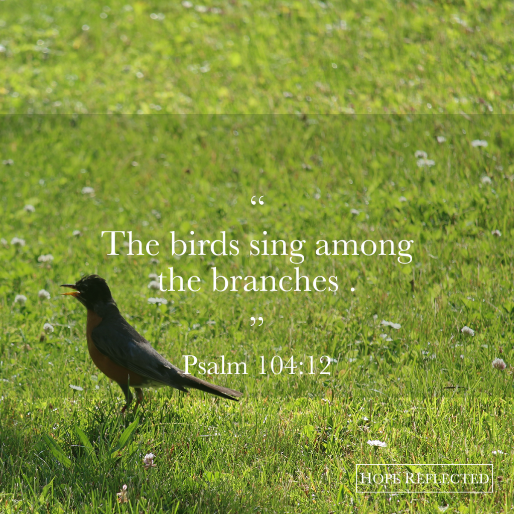 The birds sing among the branches. Psalm 104:12 Watch your words | See more at hopereflected.com