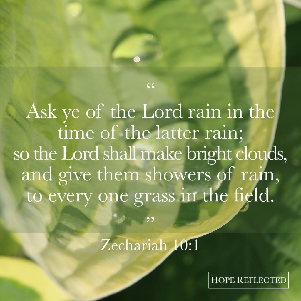 "Ask ye of the Lord rain in the time of the latter rain." Zechariah 10:1 | See more at hopereflected.com