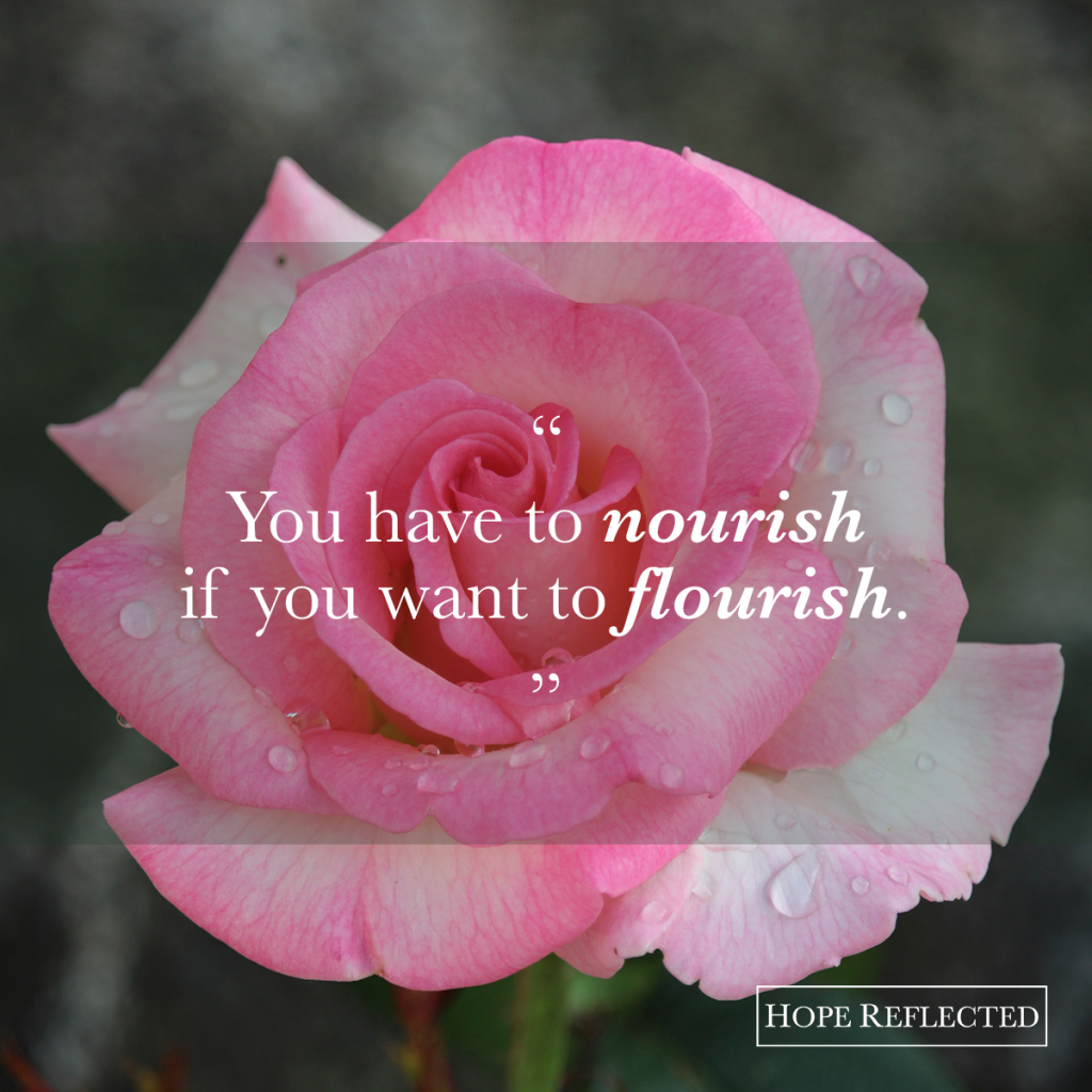 "You have to nourish if you want to flourish." Wednesday Wisdom | See more at hopereflected.com