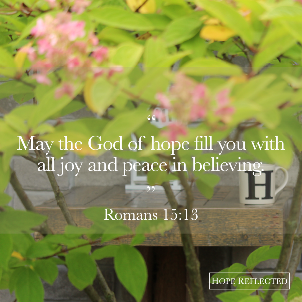 May the God of hope fill you with all joy and peace in believing. (Romans 15:13) | See more at hopereflected.com