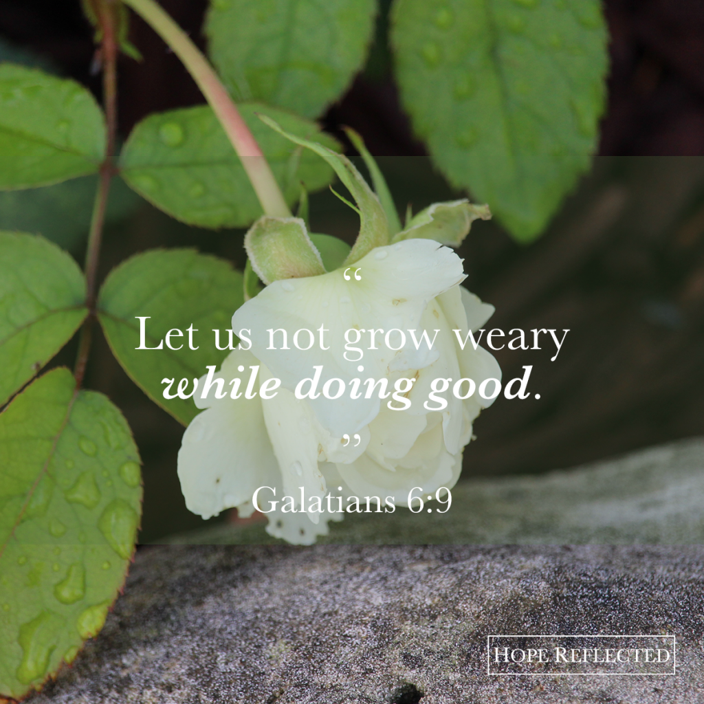 "Let us not grow weary while doing good." Galatians 6:9 | See more at hopereflected.com