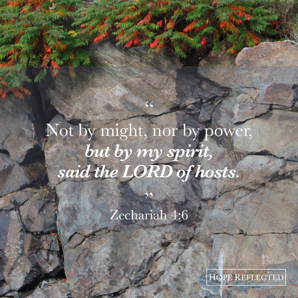Not by might, not by power, but by my spirit, said the LORD of hosts. Zechariah 4:6 | See more at hopereflected.com