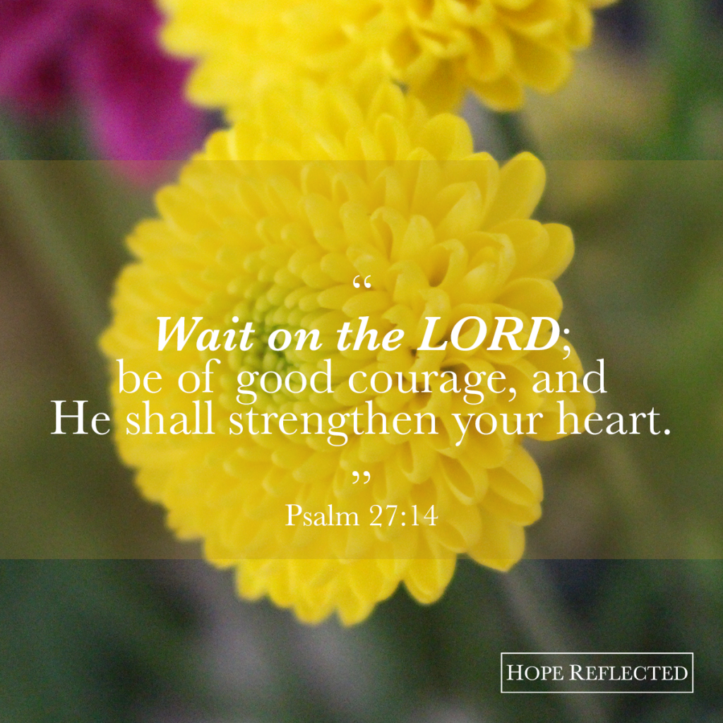 "Wait on the LORD, be of good courage, and He shall strengthen your heart." Psalm 27:14 | See more at hopereflected.com