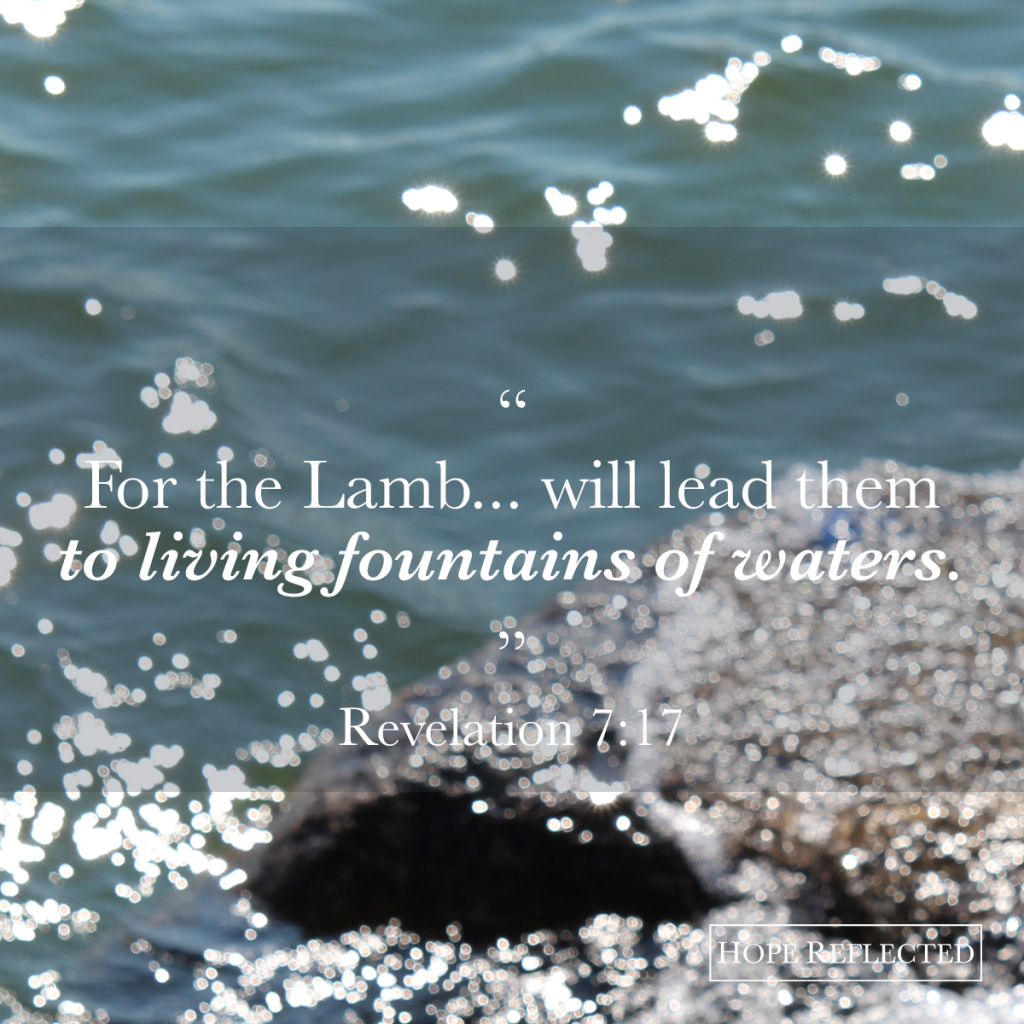 "For the Lamb... will lead them to living fountains of waters." (Revelation 7:17) | Read more at hopereflected.com