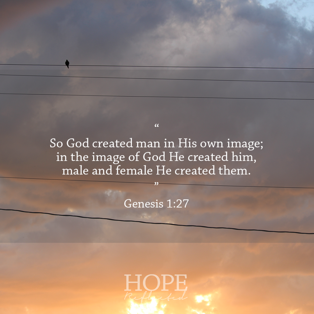 Verses for when you feel insecure (Genesis 1:27) | See more at hopereflected.com