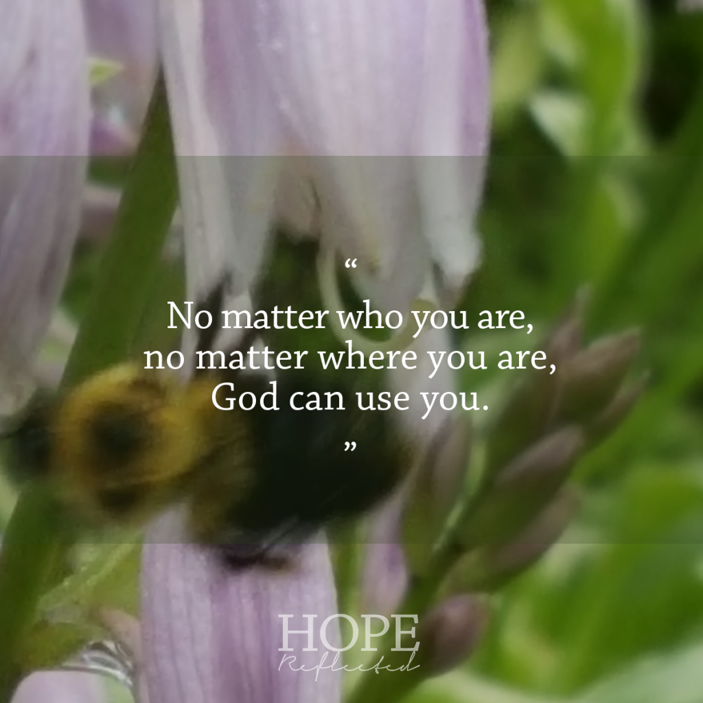 No matter who you are, and no matter where you are, God can use you. | Lessons from the honey bee | See more at hopereflected.com