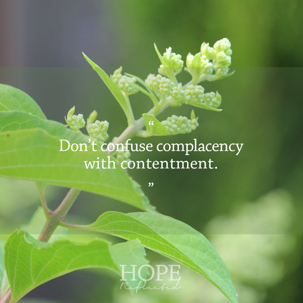 Wednesday Wisdom: Don't confuse complacency with contentment. | See more at hopereflected.com