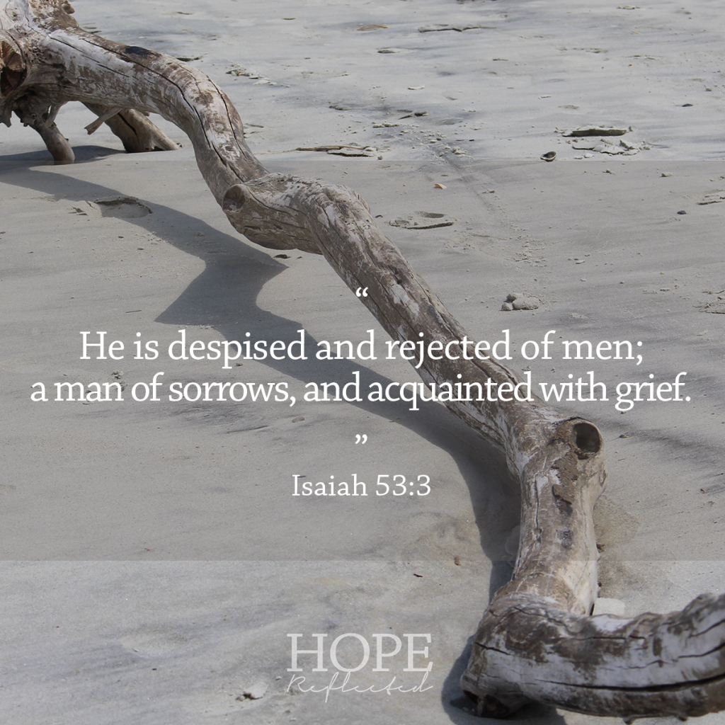 He is despised and rejected of men; a man of sorrows, and acquainted with grief. | See more at hopereflected.com