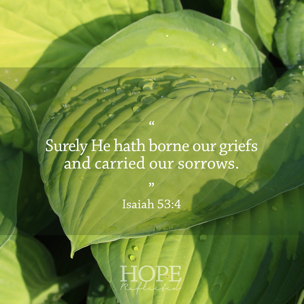 "Surely He hath borne our griefs and carried our sorrows." Isaiah 53:4 | See more at hopereflected.com