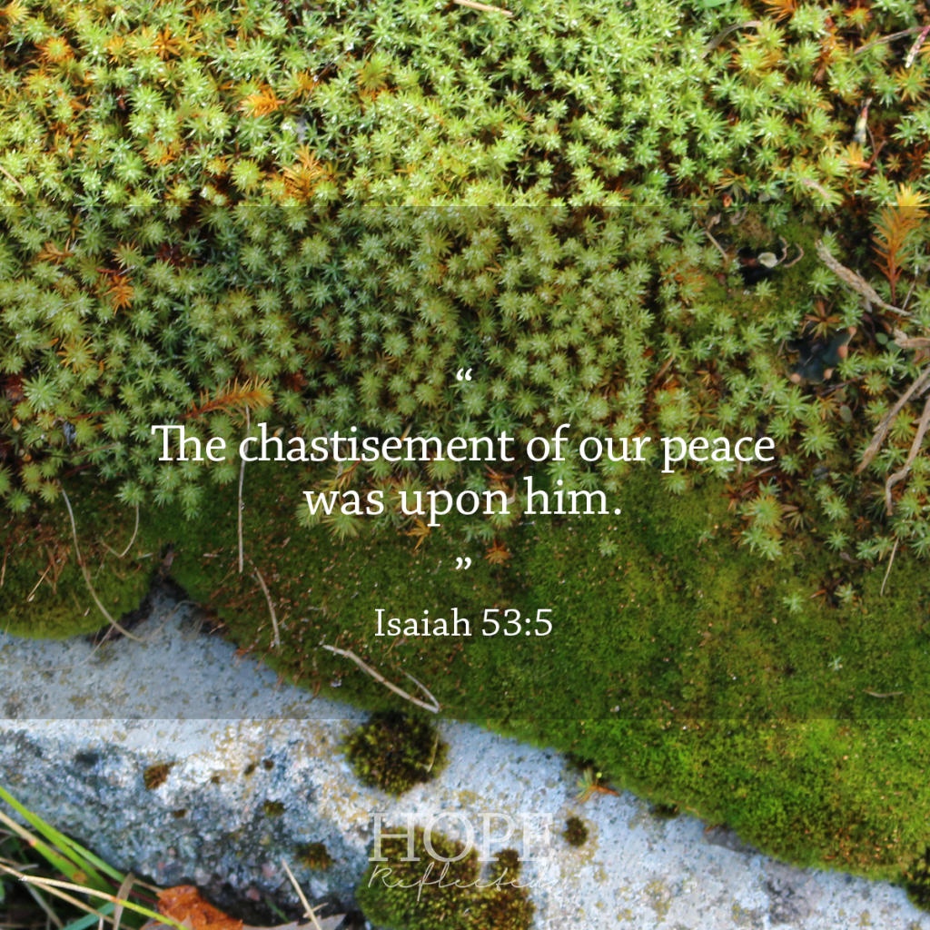 "The chastisement of our peace was upon him." Isaiah 53:5 | See more at hopereflected.com