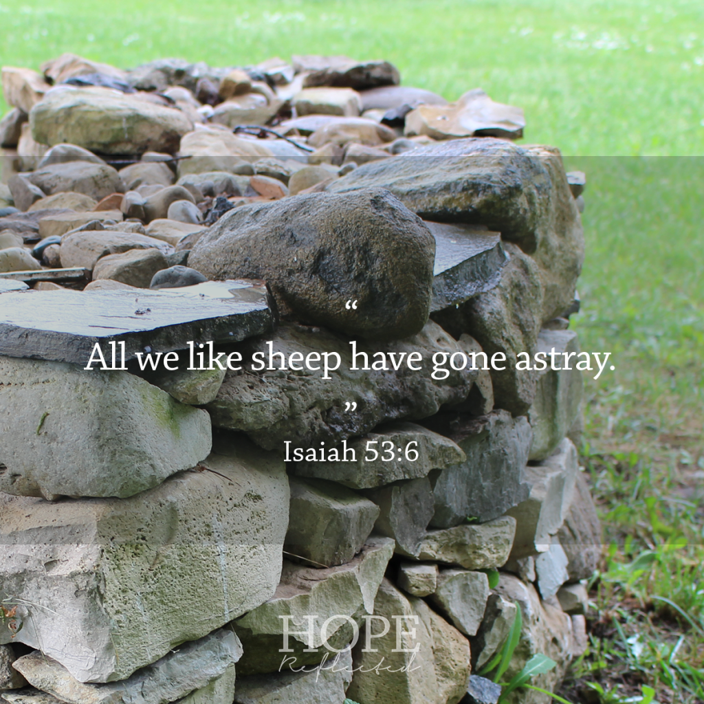 "All we like sheep have gone astray." (Isaiah 53:6) | See more at hopereflected.com