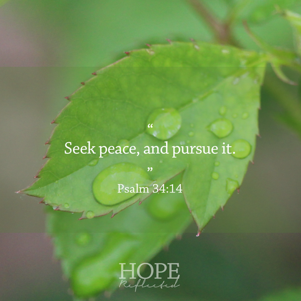 Seek peace, and pursue it. (Psalm 34:14) | Peace | Read more at hopereflected.com