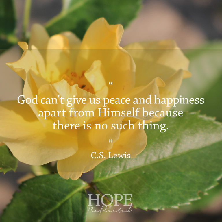 Hope Reflected Seek Peace, and Pursue It Christian Living