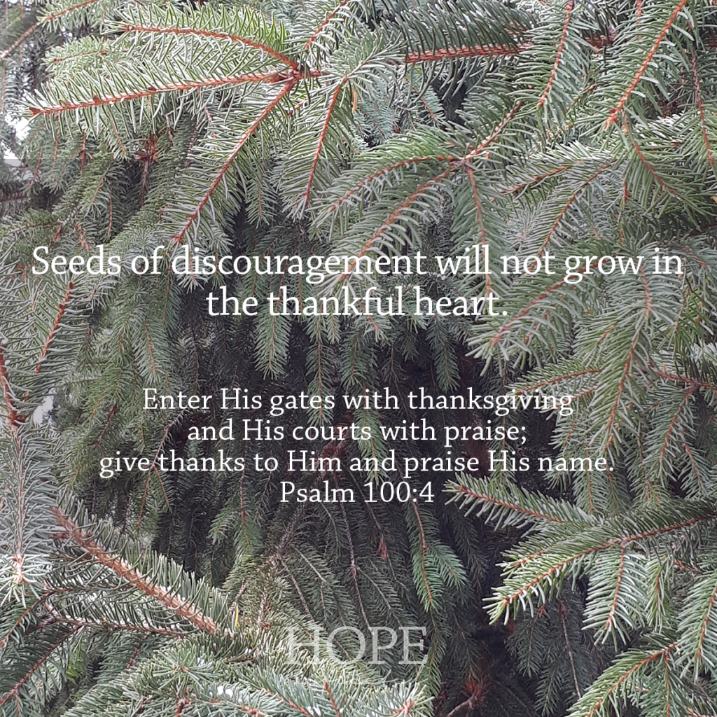 Seeds of discouragement will not grow in the thankful heart. | See more at hopereflected.com