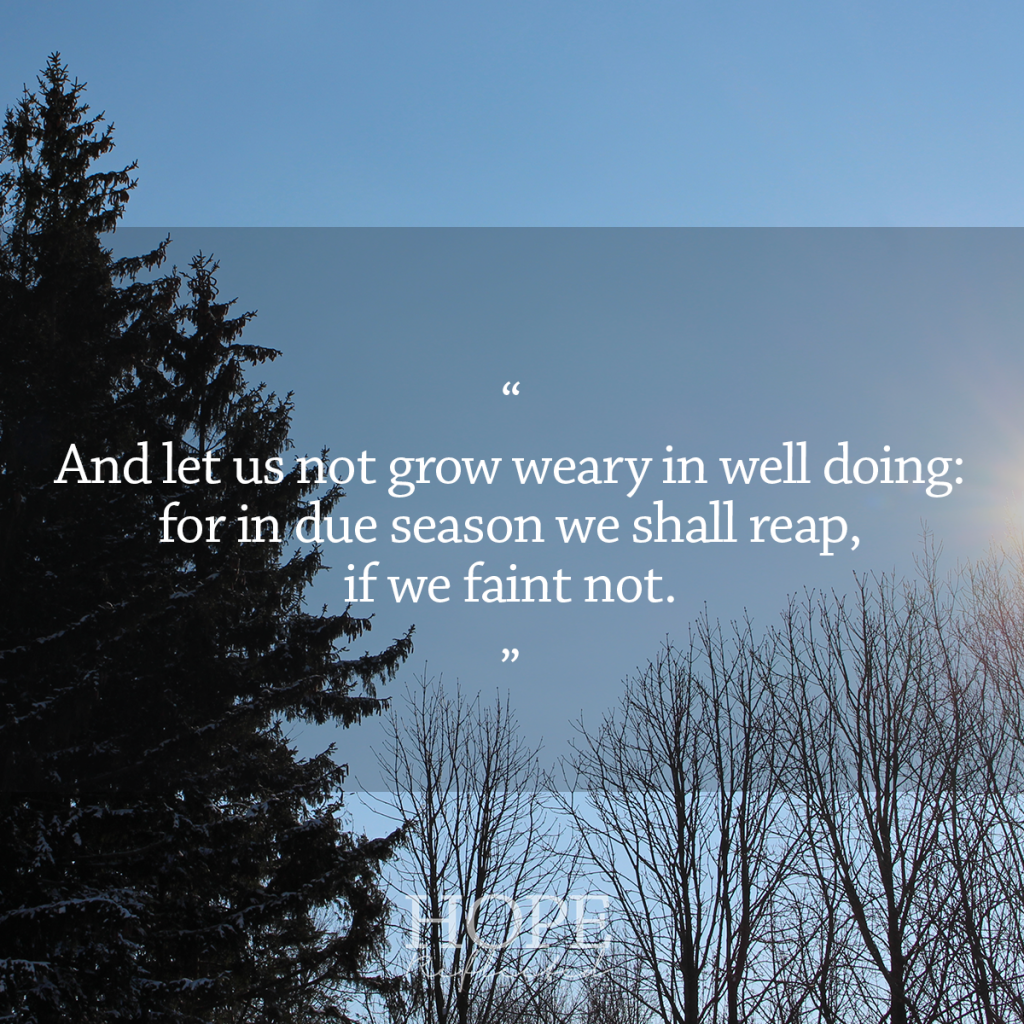 "Let us not grow weary in well doing" (Galatians 6:9) Thoughts on overcoming | See more at hopereflected.com