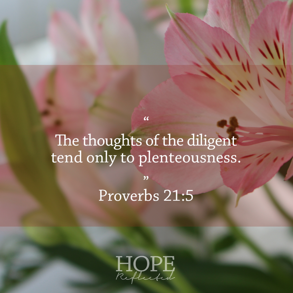 "The thoughts of the diligent tend only to plenteousness." Proverbs 21:5 | Esther: An Excellent Example | Read more at hopereflected.com