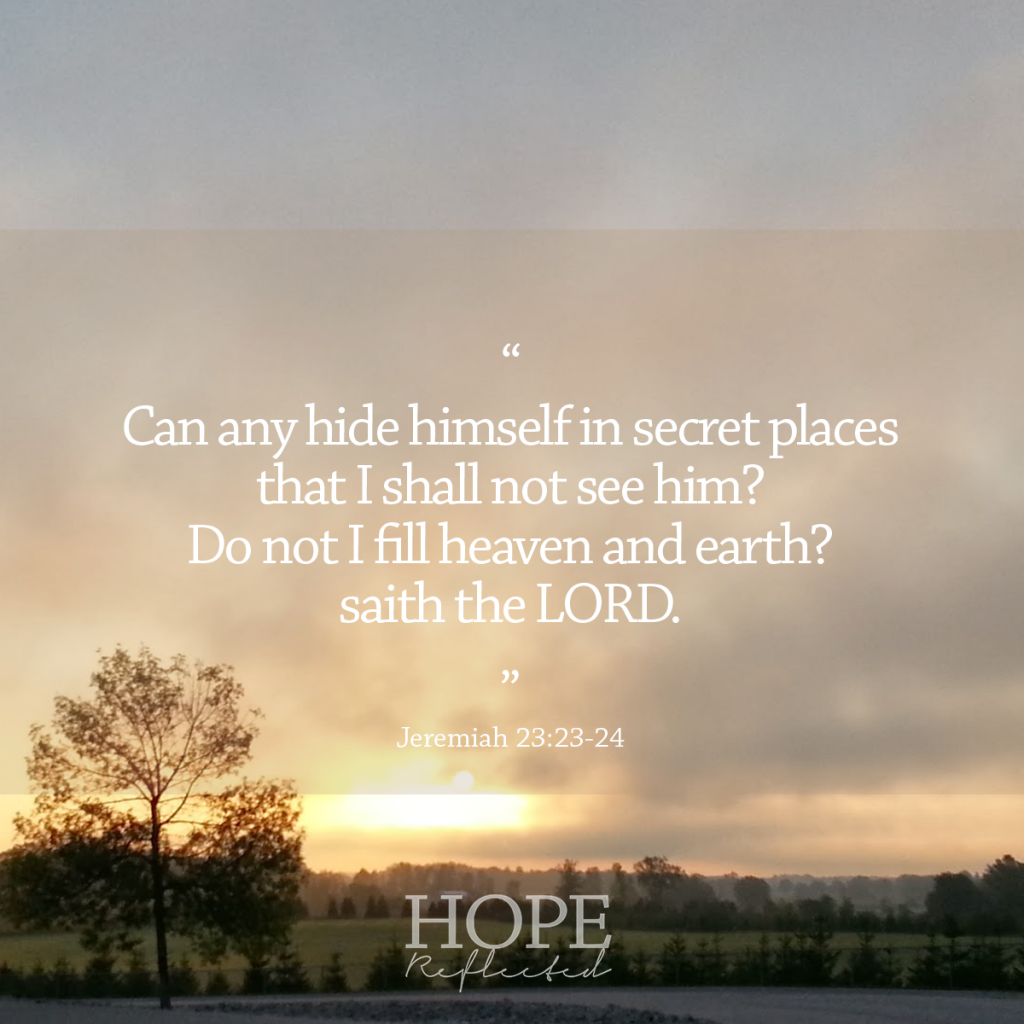 You are not alone in your feelings of loneliness. "Can any hide himself in secret places that I shall not see him? Do not I fill heaven and earth? saith the LORD." (Jeremiah 23:23-24) | Hope Reflected