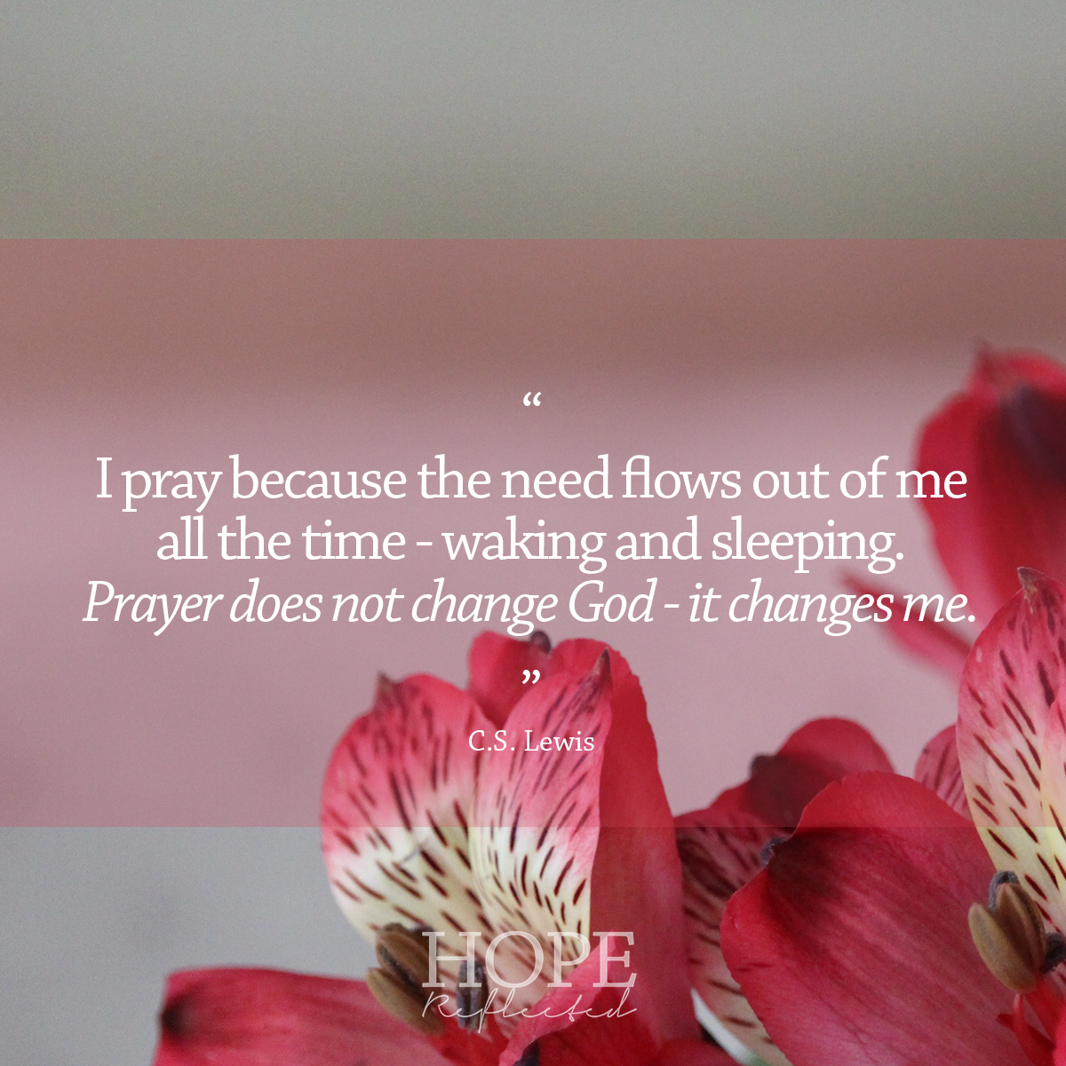 The Necessity of Prayer Hope Reflected The Necessity of Prayer Hope Reflected