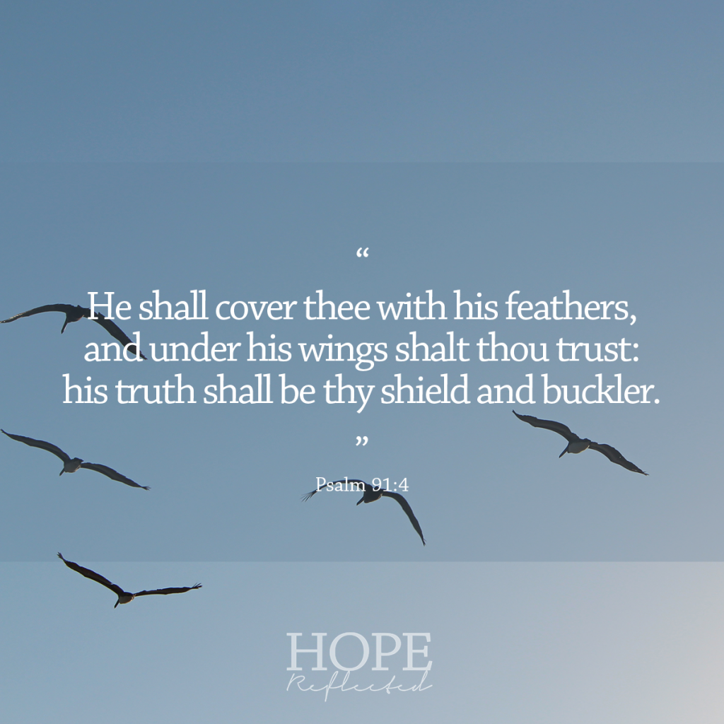 “He shall cover thee with his feathers, and under his wings shalt thou trust: his truth shall be thy shield and buckler.” (Psalm 91:4) What is a buckler? | Read more at hopereflected.com