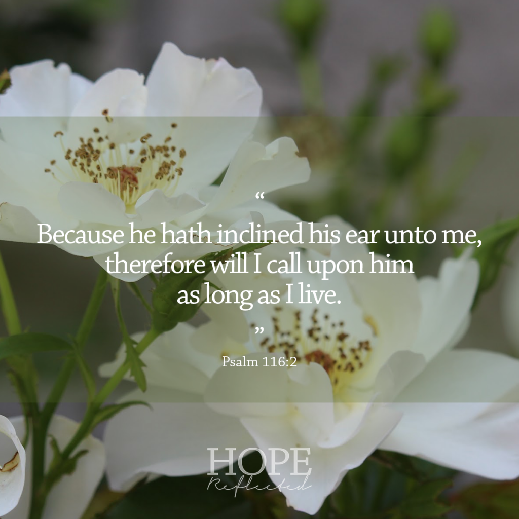 "Because he hath inclined his ear unto me, therefore will I call upon him as long as I live." (Psalm 116:2) Call unto the Lord | See more at hopereflected.com