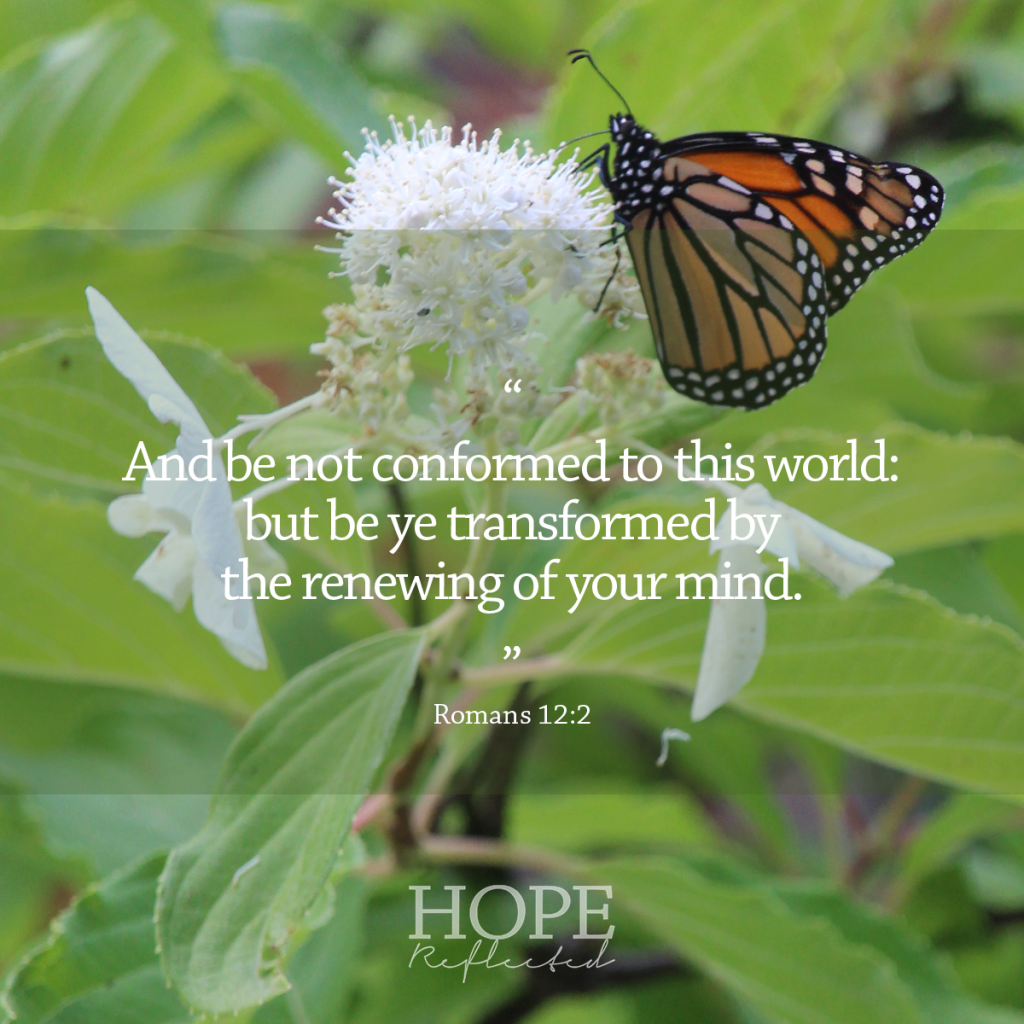"And be not conformed to this world: but be ye transformed by the renewing of your mind." (Romans 12:2) | Read more at hopereflected.com
