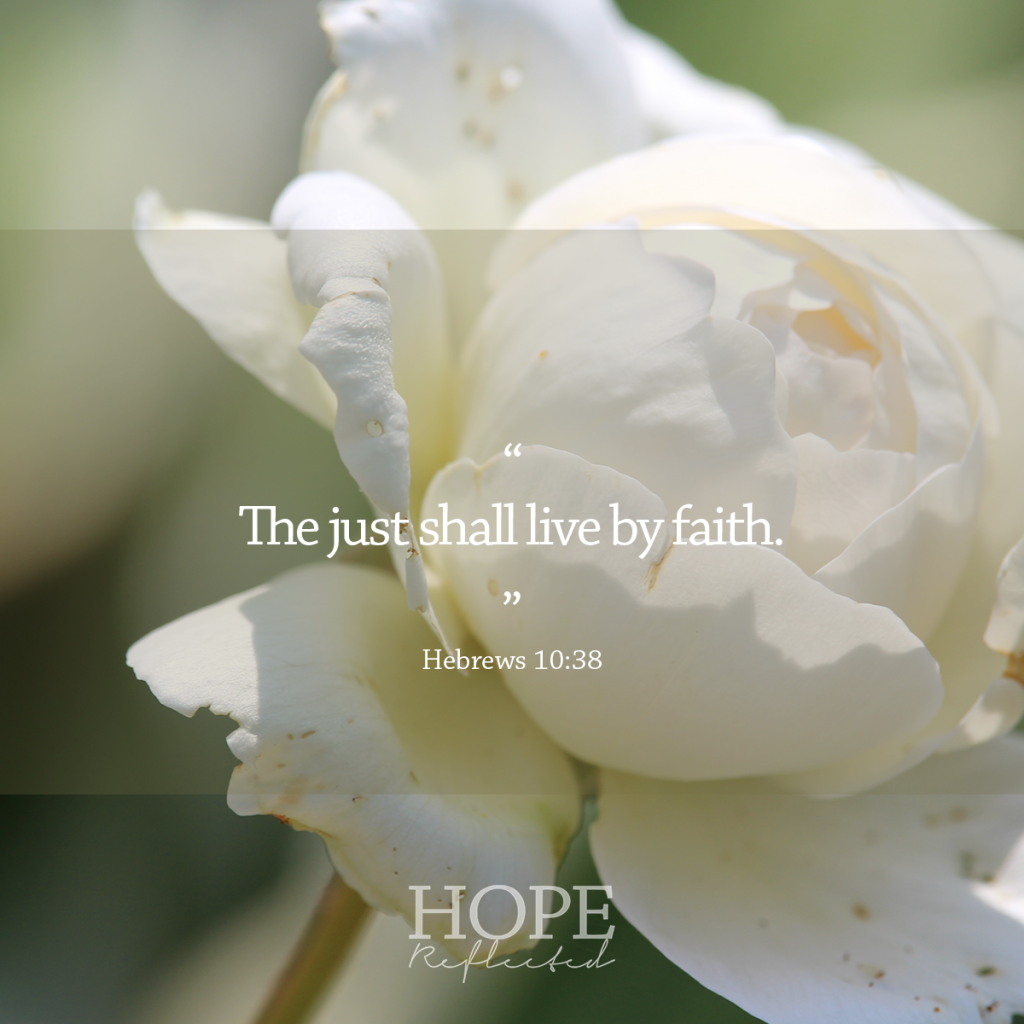 "The just shall live by faith." (Hebrews 10:38) | The nature of faith | Read more at hopereflected.com