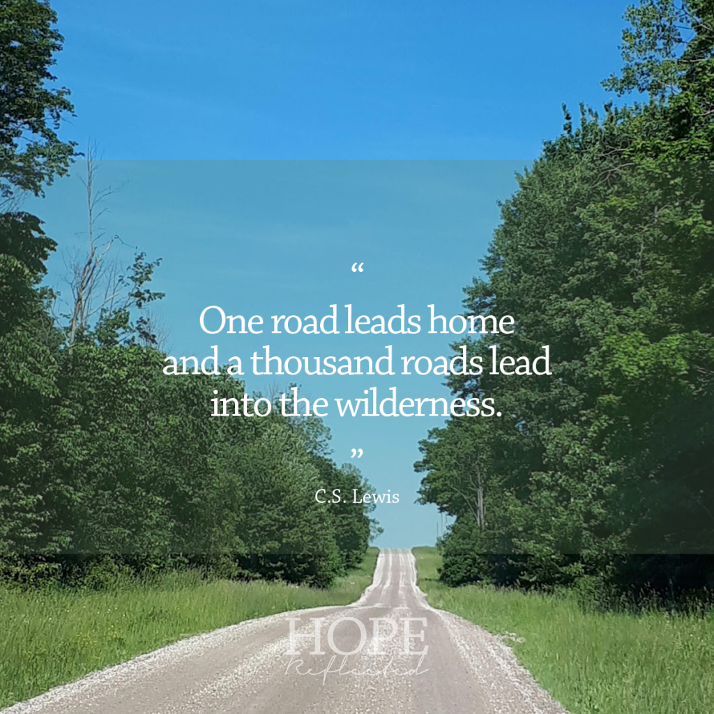 "One road leads home and a thousand roads lead into the wilderness." (C.S. Lewis) | Read more about our walk with God at hopereflected.com