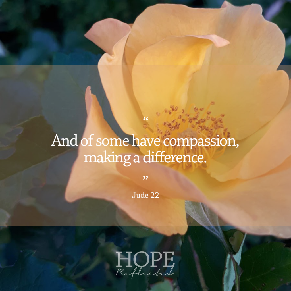 "And of some have compassion, making a difference." (Jude 22) | Read about the compassion of Christ at hopereflected.com