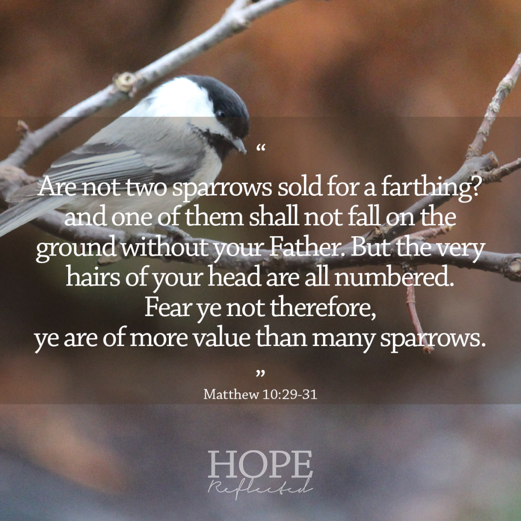 "Are not two sparrows sold for a farthing? and one of them shall not fall on the ground without your Father. But the very hairs of your head are all numbered. Fear ye not therefore, ye are of more value than many sparrows." (Matthew 10:29-31) | 10 verses to calm and reassure your anxious mind | Read more at hopereflected.com