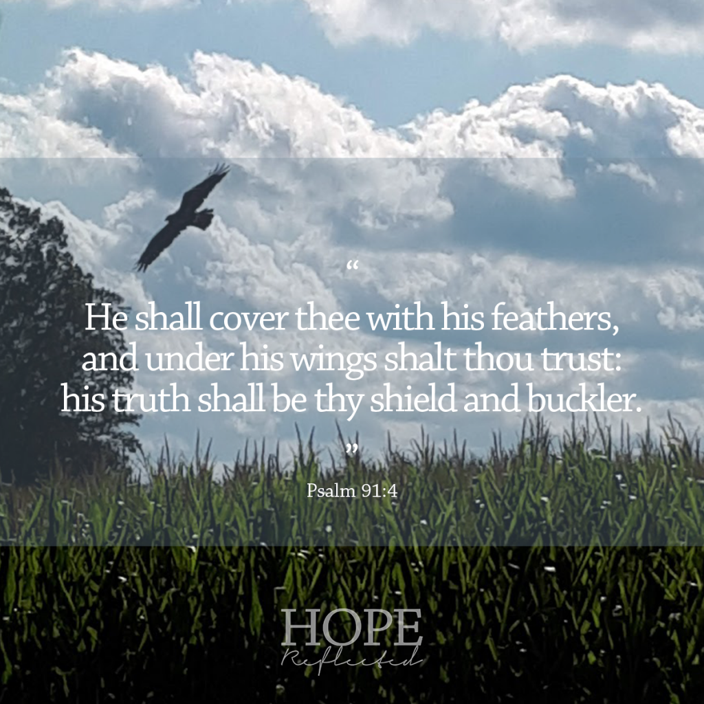 "He shall cover thee with his feathers, and under his wings shalt thou trust: his truth shall be thy shield and buckler." (Psalm 91:4) | 10 verses to calm and reassure your anxious mind | Read more at hopereflected.com