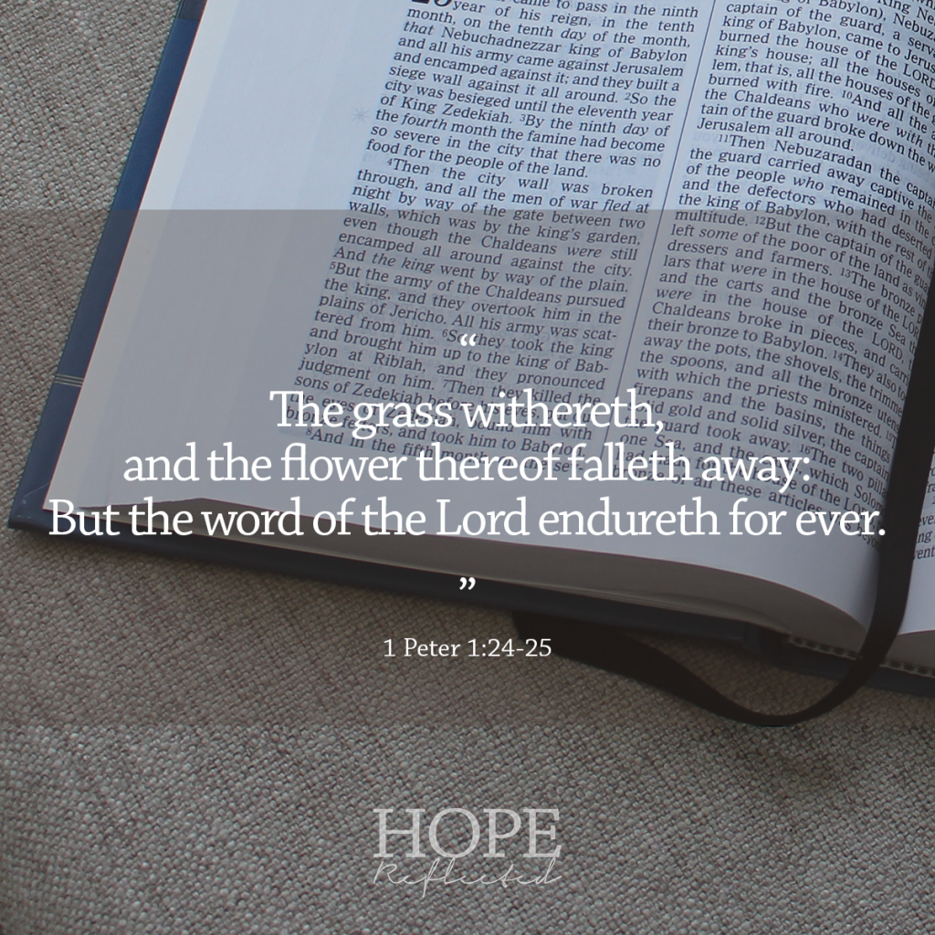 God's Word has the power to transform! "The grass withereth, and the flower thereof falleth away: But the word of the Lord endureth for ever." (1 Peter 1:24-25) | See more at hopereflected.com