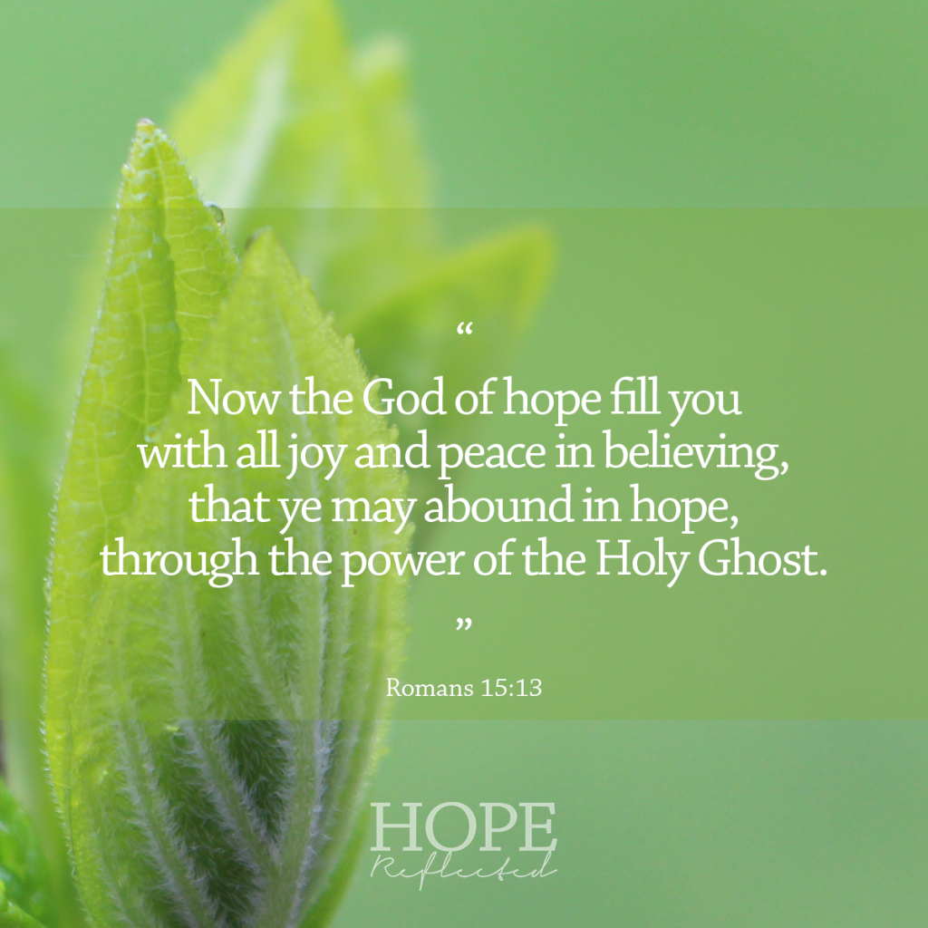 “Now the God of hope fill you with all joy and peace in believing, that ye may abound in hope, through the power of the Holy Ghost.” (Romans 15:13)  | Read more at hopereflected.com