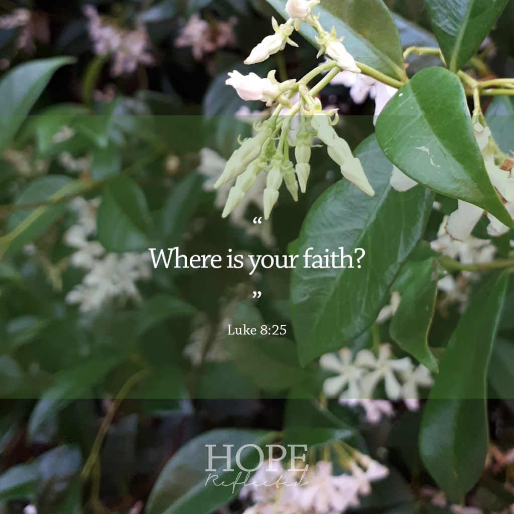 "Where is your faith?" (Luke 8:25) | Read more at hopereflected.com