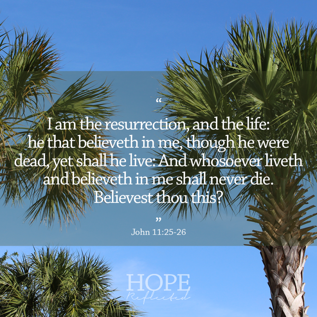 "I am the resurrection, and the life: he that believeth in me, though he were dead, yet shall he live: And whosoever liveth and believeth in me shall never die. Believest thou this?" (John 11:25-26) | Easter encouragement from hopereflected.com