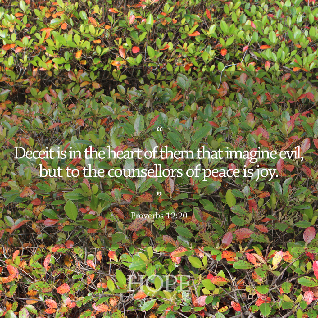 "Deceit is in the heart of them that imagine evil, but to the counsellors of peace is joy." (Proverbs 12:20) | Read more at hopereflected.com