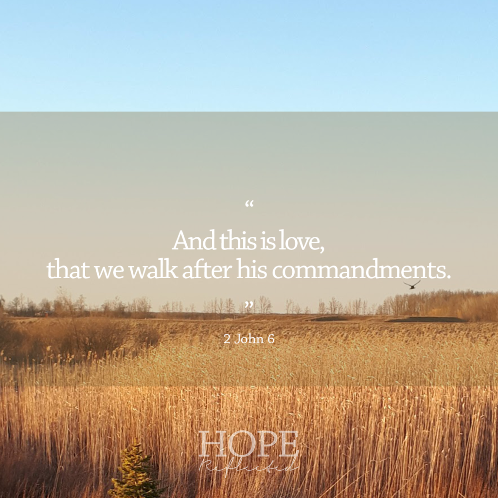 "And this is love, that we walk after his commandments." (2 John 6) | Read more about obedience to God at hopereflected.com