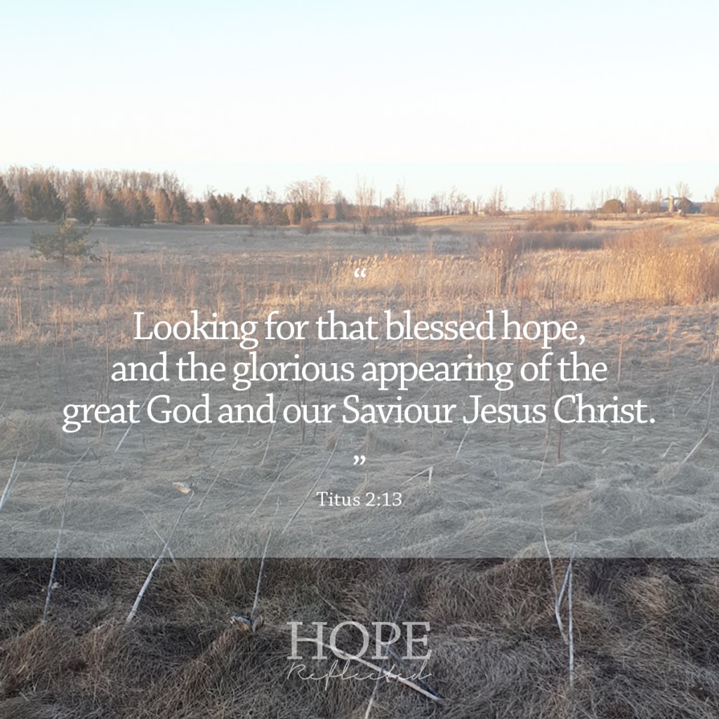 "Looking for that blessed hope, and the glorious appearing of the great God and our Saviour Jesus Christ." (Titus 2:13) | Read more about Hope for hard times at hopereflected.com