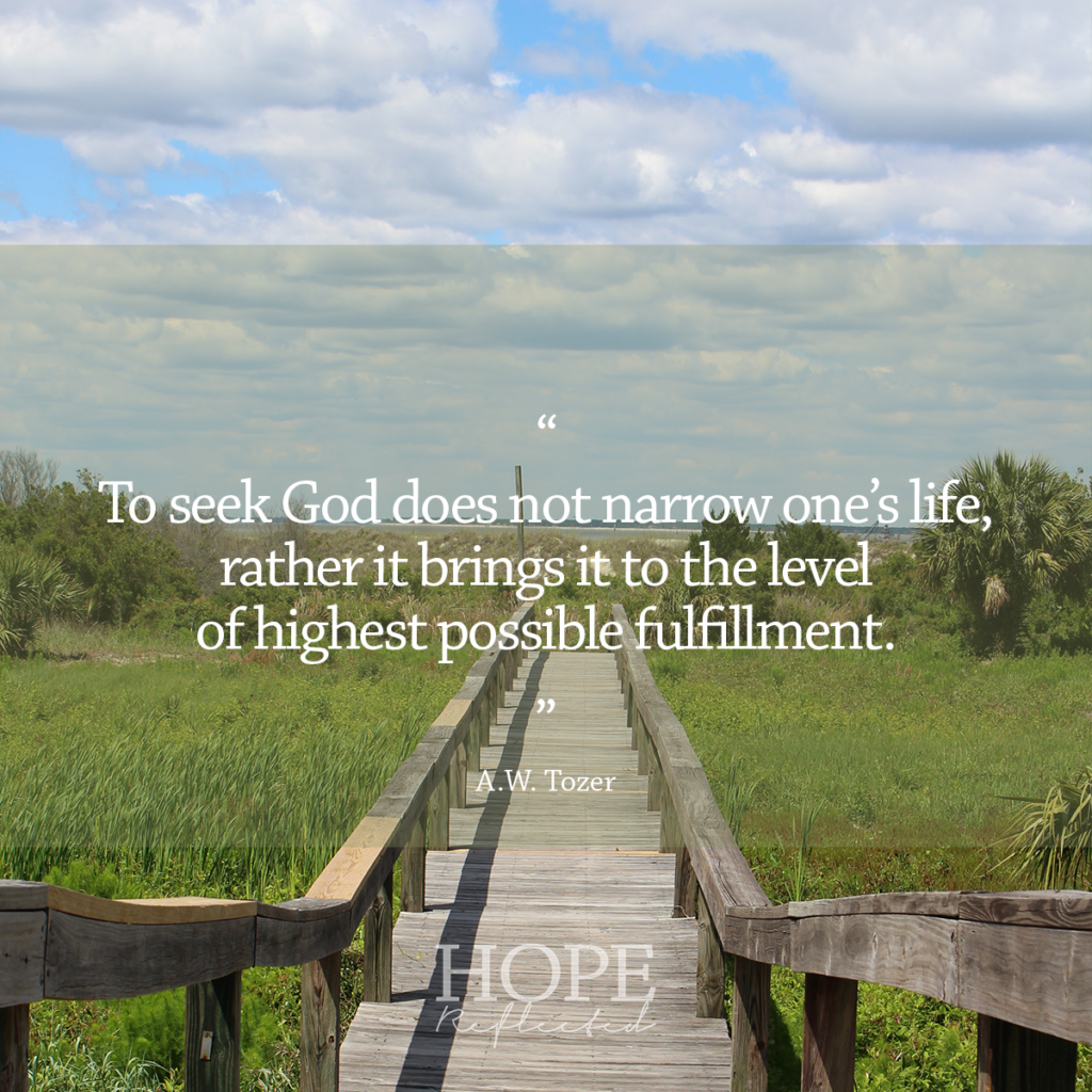 “To seek God does not narrow one’s life, rather it brings it to the level of highest possible fulfillment.” (A.W. Tozer) | Seeking the Lord | Hopereflected.com