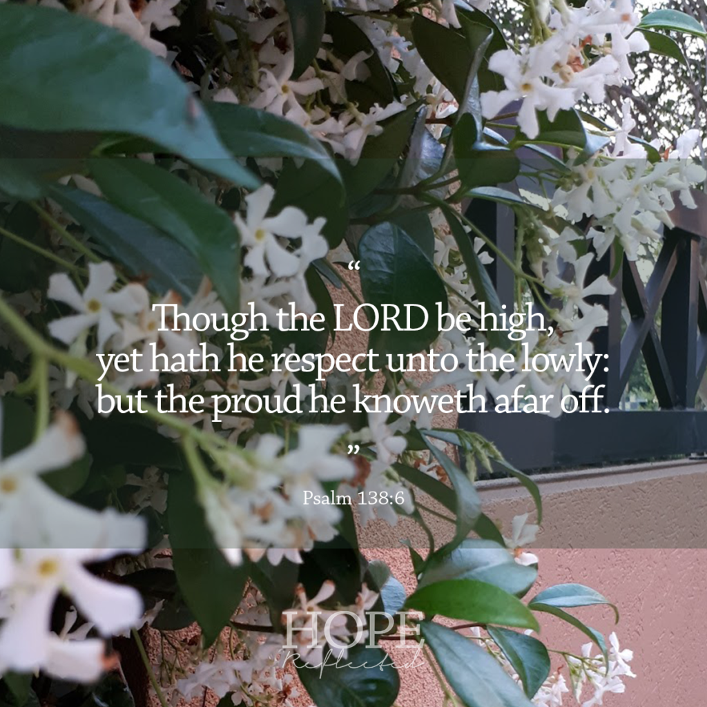"Though the LORD be high, yet hath he respect unto the lowly: but the proud he knoweth afar off." (Psalm 138:6) | Read more about pride at hopereflected.com