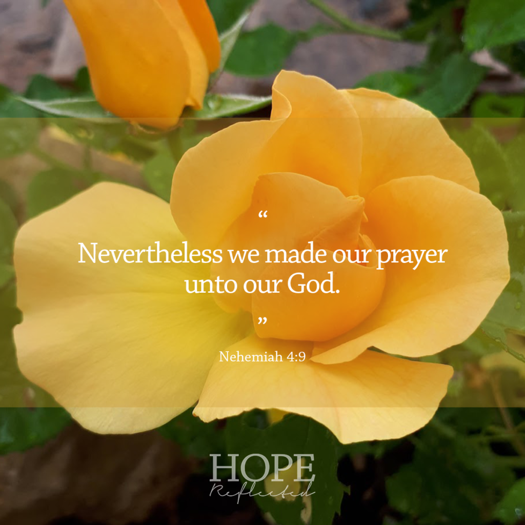 "Nevertheless we made our prayer unto our God." Nehemiah 4:9 | Read more about community at hopereflected.com