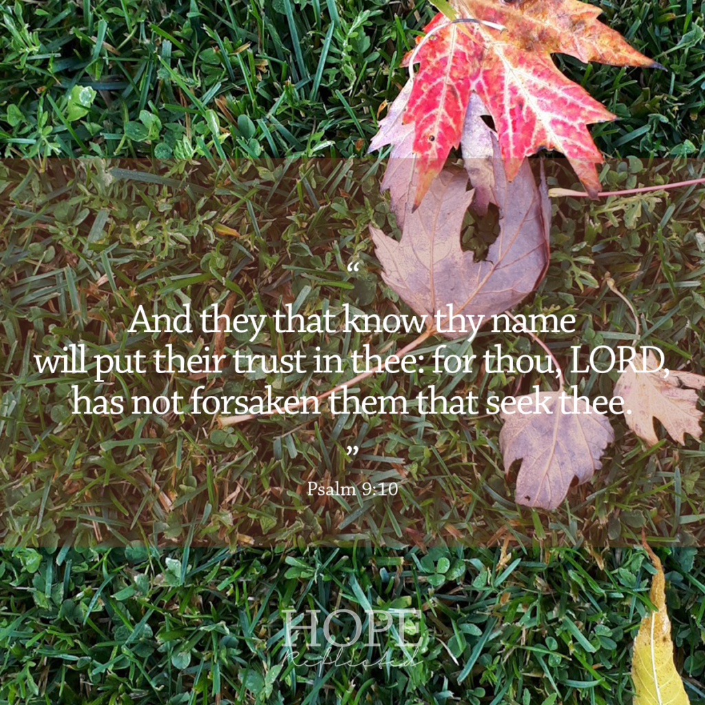 "And they that know thy name will put their trust in thee: for thou, LORD, has not forsaken them that seek thee." Psalm 9:10 | Read more about trust at hopereflected.com