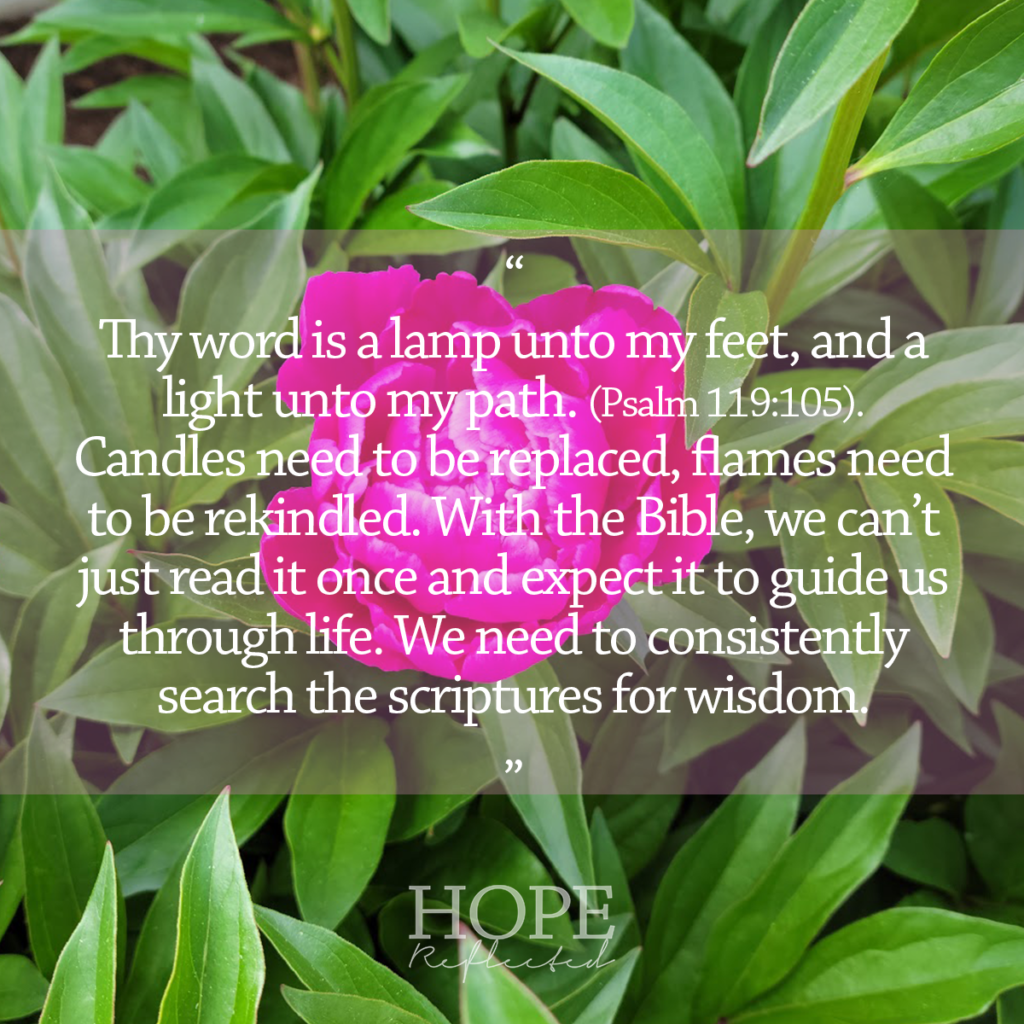 “Thy word is a lamp unto my feet, and a light unto my path.” (Psalm 119:105). See more at hopereflected.com