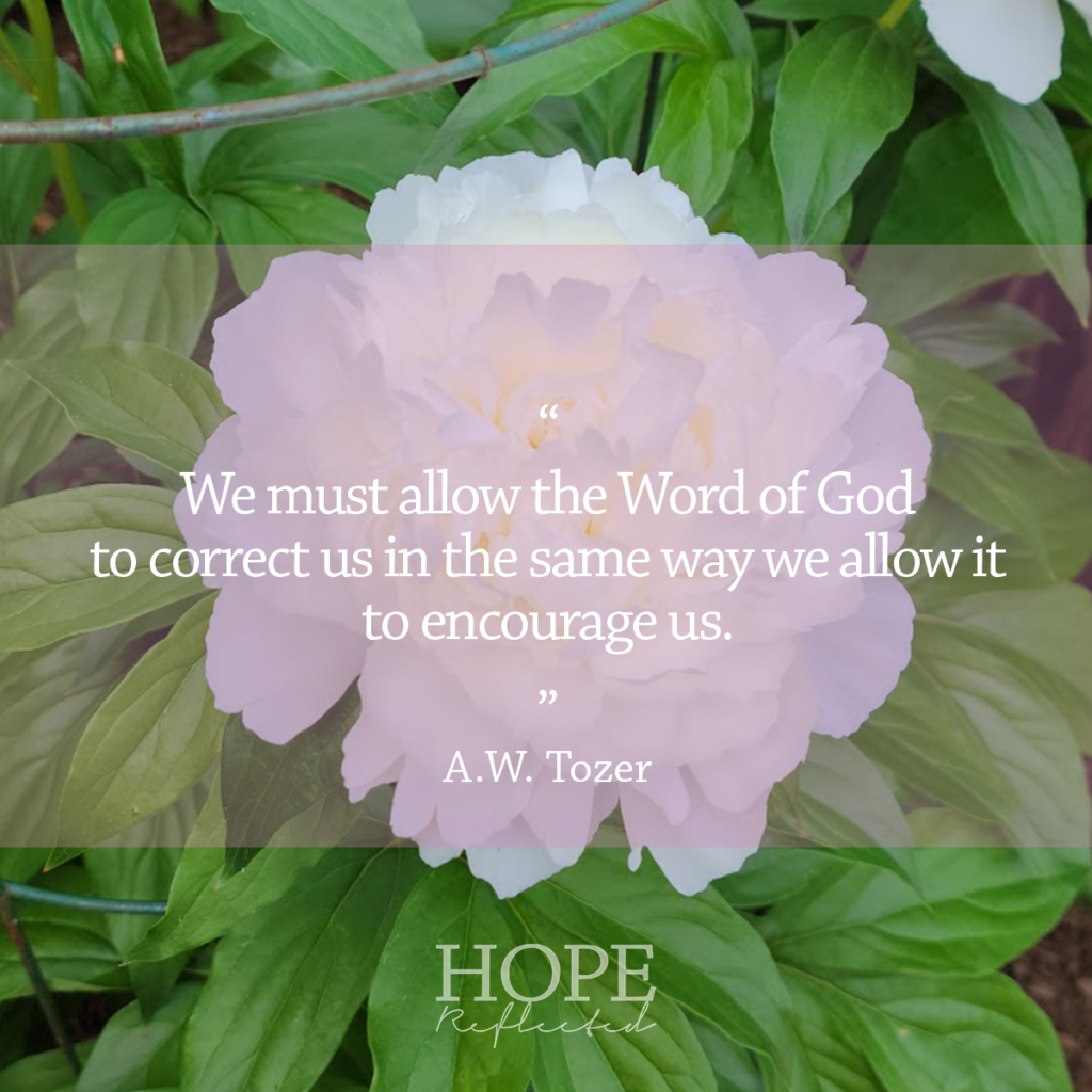 A.W. Tozer said, “we must allow the Word of God to correct us the same way we allow it to encourage us.” Read more at hopereflected.com